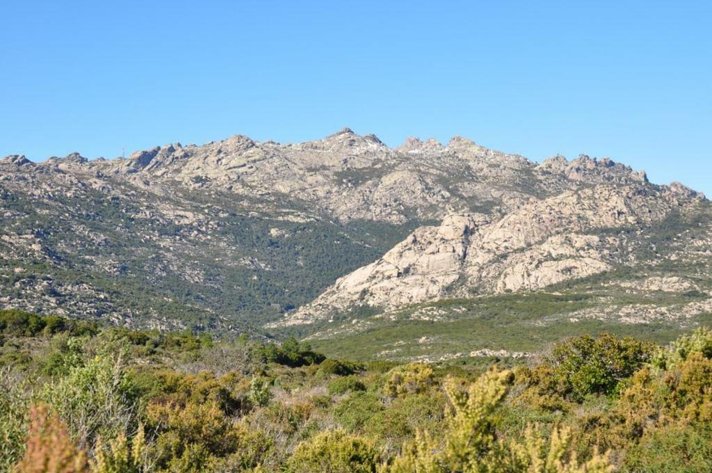 Sardegna Vicino Ad Olbia "La Casa Nel Vicolo" Villa Berchidda Exterior foto