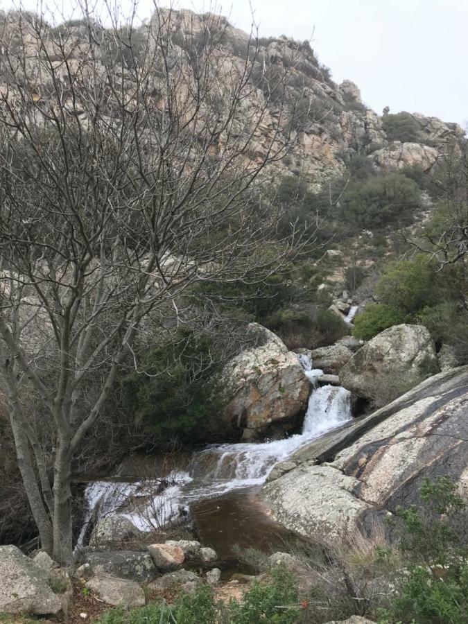 Sardegna Vicino Ad Olbia "La Casa Nel Vicolo" Villa Berchidda Exterior foto