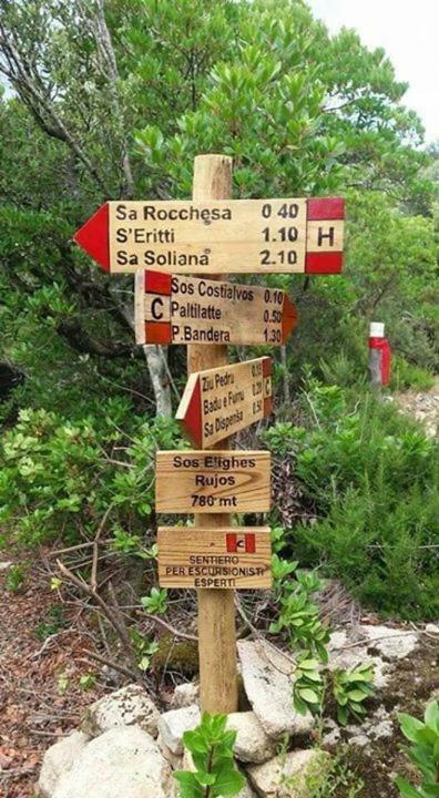 Sardegna Vicino Ad Olbia "La Casa Nel Vicolo" Villa Berchidda Exterior foto