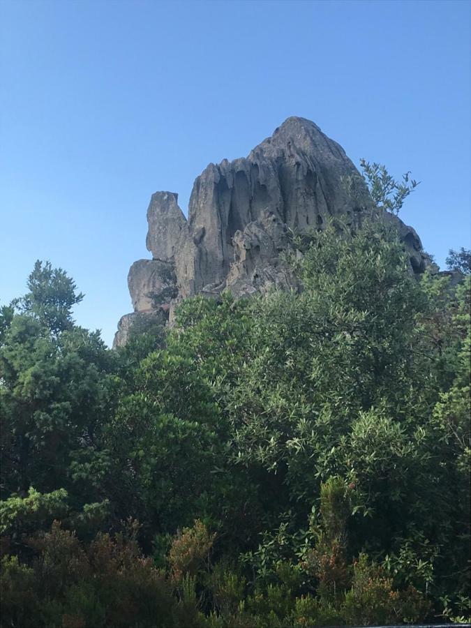Sardegna Vicino Ad Olbia "La Casa Nel Vicolo" Villa Berchidda Exterior foto